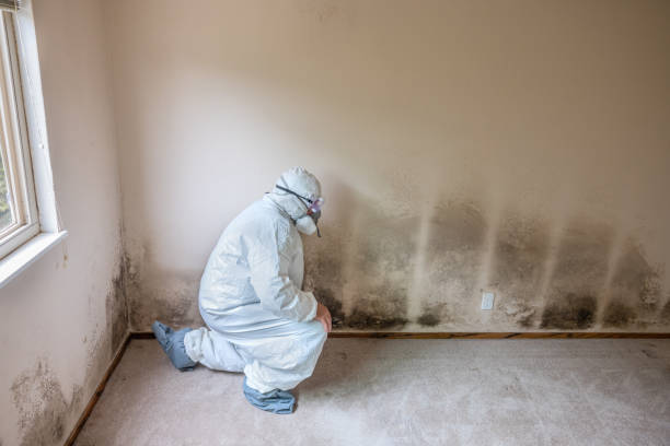 Best Crawl Space Mold Removal  in Penndel, PA